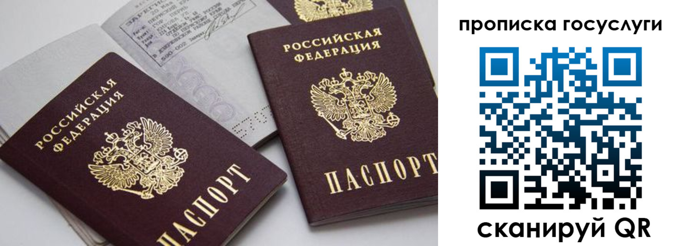 прописка законно в Вологде